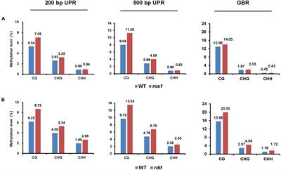 Impact of DNA Demethylases on the DNA Methylation and Transcription of Arabidopsis NLR Genes